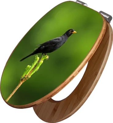 Produktbild von banjado Design WC Sitz Bambus Absenkautomatik -Vogel auf Tannenzweig - Toilettendeckel mit Absenkautomatik Holz/hochwertiger Bambus Klodeckel/WC-Sitz für alle gängigen Toiletten [TDB2 12974]