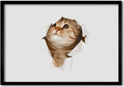 Produktbild von Bild - Bilder - Bilderrahmen - 70 cm x 50 cm - MDF-Rahmen, Wandkunst Katze