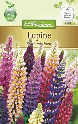 Produktbild von Lupine PrachtMischung | Lupinensamen von N.L. Chrestensen