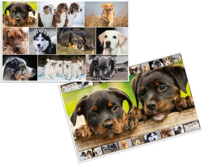 Obrázok produktu pre HERMA 19378 HERMA Schreibtischunterlagen   Hunde