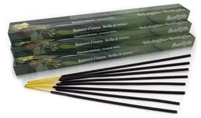 Immagine prodotto di Bastoncini di incenso di alta qualità con profumo di eucalipto