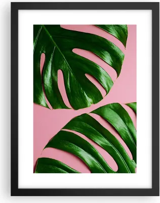 Produktbild von Gerahmtes Poster - Schwarzer Rahmen - Monstera Blatt Rosa - 30x40 cm - Wand Bild - Wanddeko - Wandbilder - Kunstposter - Wandposter - Bilderrahmen - Bilder - Kunstdruck - P2BPA30x40-4407
