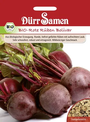 Produktbild von Rote Rübe Bolivar | -Rübensamen von Dürr Samen