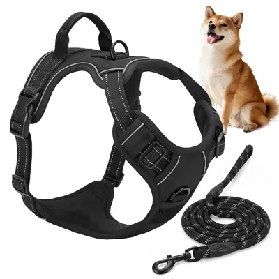 Image de Harnais pour chien Ademend, taille L, avec laisse renforcée