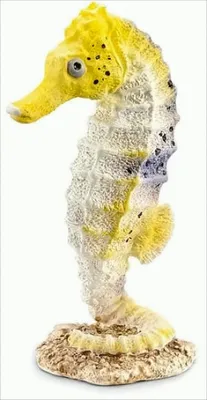 Produktbild von Schleich Seepferdchen
