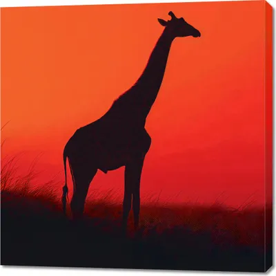 Produktbild von Bild 100x100cm Giraffe in Schwarz