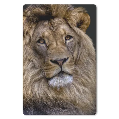 Produktbild von MuchoWow® Mauspad Mousepad Löwe - Porträt - Dunkel 40x60 cm - Mousepads - Maus Mat - Pad - Mausunterlage - Schreibtisch Accesoire