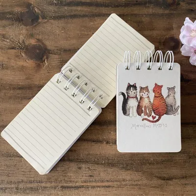 Produktbild von Notizbuch A7 mit 4 Katzen Motiv, robustem Folienumschlag und praktischer Plastiktasche