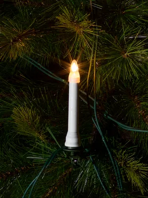 A close-up of a single white candle-shaped light bulb on a green string of lights, attached to a pine tree.