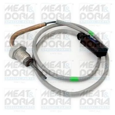 Produktbild von MEAT & DORIA 12384 Abgastemperatursensor für VW Passat Variant (3G5, CB5) 590mm