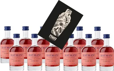 Produktbild von Haymans Sloe Gin Miniatur 12x 50ml (26% vol) Haymans of London Mini- [Enthält Sulfite]