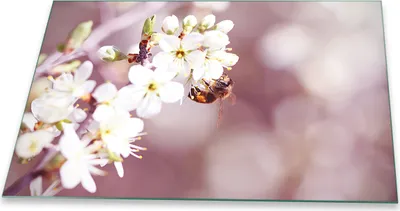 Produktbild von Herdabdeckplatte Glaskeramikfeld Spritzschutz Glas Universal Deko 80x52 Blumen Weiß
