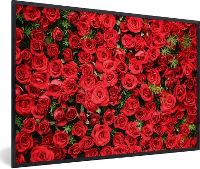 Produktbild von MuchoWow® Gerahmtes Poster Rosen - Rot - Strauch 60x40 cm - Poster mit Schwarzem Bilderrahmen Wandposter Rahmen Foto Bilder - Printing - Wanddeko Schlafzimmer