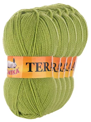 5 x 100g Strickgarn TERA Uni 025 limettengrün