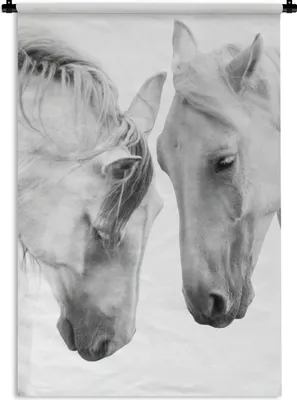 Produktbild von MuchoWow® Wandteppich Wandbehang Pferd - Tiere - Porträt - Weiß 90x135 cm Tapisserie Dekoration Wandtuch - Baumwolle - Wandskulptur