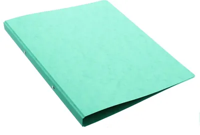 Produktbild von Ringbuch A4 Karton 13mm 2 Ringe grün Packung mit 20 Stück