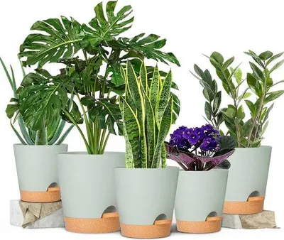 Produktbild von Famanu Pflanzentöpfe 17,8/12,7 cm - Selbstbewässernde Blumentöpfe mit Abflussöffnung