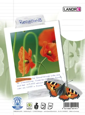 Image de LANDRE Collegeblock Recycling A4 Abriss 80 Blatt 70 g/qm