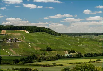 Produktbild von Wallario Fototapete Vliestapete, seidenmatte Oberfläche, einfache Verarbeitung, Größe 200 x 140 cm, Motiv Panoramablick über die Champagne