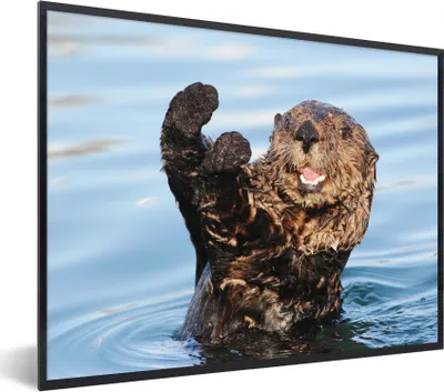 Produktbild von MuchoWow® Gerahmtes Poster Otter im Wasser 80x60 cm - Poster mit Schwarzem Bilderrahmen Wandposter Rahmen Foto Bilder - Schwarzem - Mit Gestell