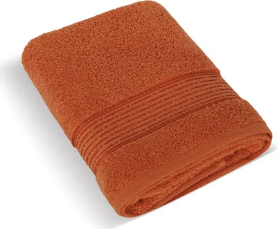 Produktbild von Frottiertuch 50x100cm gestreift 450g terra