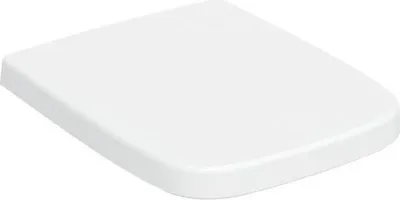 A white toilet seat lid is shown from a slightly elevated diagonal angle.
