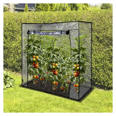 Produktbild von Gewächshaus Tomatenhaus 170x80x170 cm