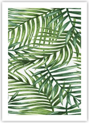 Produktbild von Poster - Poster ohne Rahmen - Palme Blatt grün - 50x70 cm - Wand Bild - Wanddeko - Wandbilder - Kunstposter - Wandposter - Bilder - Kunstdruck - Wanddekoration - Wandbild - P2XPA50x70-3777