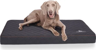 Produktbild von Knuffelwuff Orthopädische Hundematte Juna aus laser-gestepptem Kunstleder XXL 110x66cm Schwarz