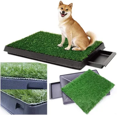 Obrázek produktu pro 63 x 50 x 7 cm, psí toaleta pro výcviku čistoty – ideální pro štěňata i starší psy