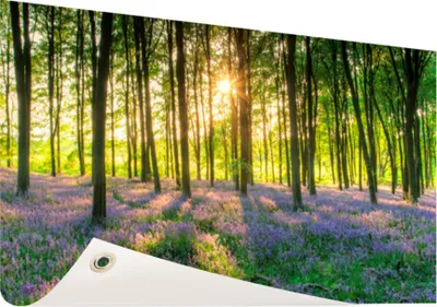 Produktbild von Gartenposter - 120x80 cm - Bunte Blüten im Strauß  - Modernes Wandbilder - Natur