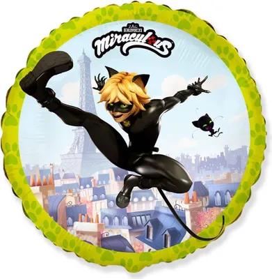 Image de Folienballon 18 FX - Miraculeux - Chat noir