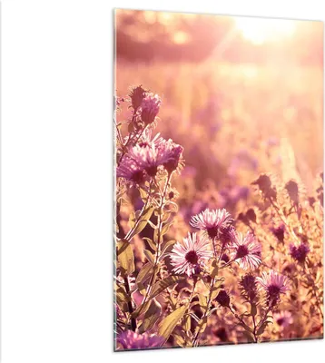Produktbild von Bilder auf glas - Einteilig - Wiese Blumen Sonne - 80x120cm - Glasbilder - Wandbilder - Bilder - zum Aufhängen bereit - Wanddekoration aus Glas - Glas Bilder - Wandbild auf Glas - GPA80x120-4819