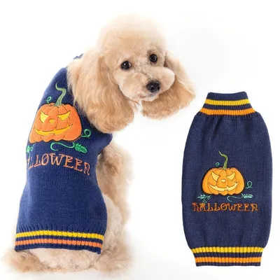 Produktbild von Hunde Halloween Kostüm Kürbis Hundepullover Blau Größe L