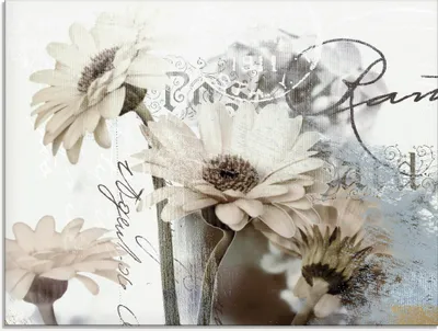 Produktbild von ARTland Glasbild Gerberas_Detail Größe: 80x60 cm