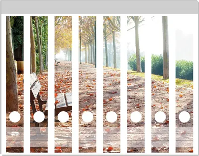 Produktbild von Wallario Ordnerrücken Sticker, selbstklebend für schmale Ordner, 8 Stück, Motiv Einsame Parkbank an einer Allee - Herbststimmung