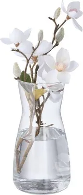 Immagine prodotto di Vaso da fiori in vetro