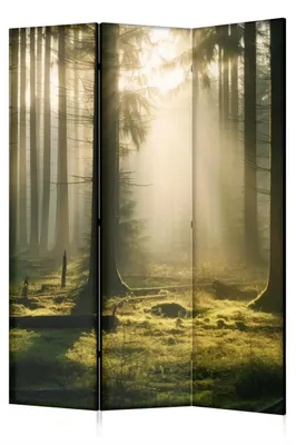 Produktbild von framed concept - Paravent Raumteiler Holz 135x172 cm, 3-teilig einseitig, Sichtschutzwand