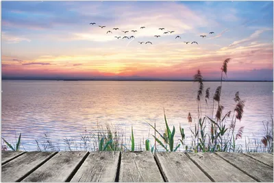 Produktbild von Wallario Wandbild Seepanorama mit Schilf und fliegenden Vögeln, Größe: 61 x 91,5 cm, Poster mit rahmenlosen Bildhalter