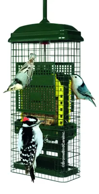 Vogel-Futterspender, eichhörnchenresistent, 2 Tabletts, Grün