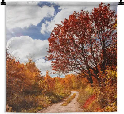 Produktbild von MuchoWow® Wandteppich Wandbehang Baum - Weg - Herbst 90x90 cm Tapisserie Dekoration Wandtuch - Wandaufhänger
