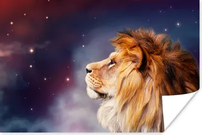 Produktbild von MuchoWow® Poster Löwen - Sternenhimmel - Farben 90x60 cm - Schlafzimmer