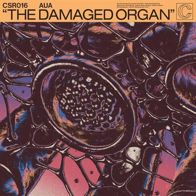 Immagine prodotto di L'organo danneggiato