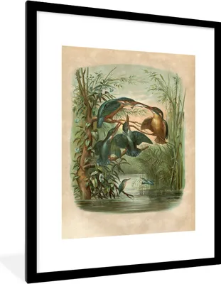Produktbild von MuchoWow® MuchoWow® Gerahmtes Poster Antiker Vogeldruck Eisvogel 60x80 cm - Poster mit zchwarzem Bilderrahmen - Wohnzimmer - Dekorationen - Prämie