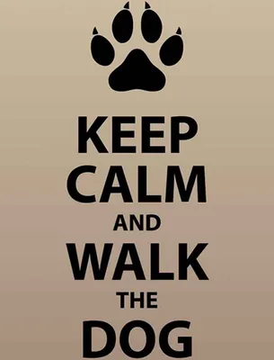 Produktbild von vianmo Holzschild 30x20 cm Keep calm and walk the dog