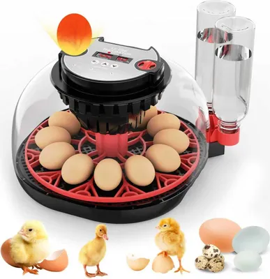 Image de Incubateur automatique, incubateur pour 12 œufs, couveuse avec système de rotation automatique et contrôle de la température pour poulailler, incubateur pour poulets