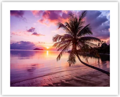Produktbild von Poster - Poster ohne Rahmen - Strand Meer Palme - 50x40 cm - Wand Bild - Wanddeko - Wandbilder - Kunstposter - Wandposter - Bilder - Kunstdruck - Wanddekoration - Wandbild - P2XAA50x40-3912