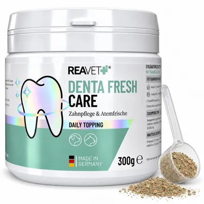 Produktbild von REAVETDenta Fresh Care Futtertopping Zahnpflege-Pulver für Hunde bei Zahnbelag, Zahnstein & Mundgeruch | 300 g Dose (bis 10 Monate) | mit Seealgenmehl & Pfefferminze |  Germany