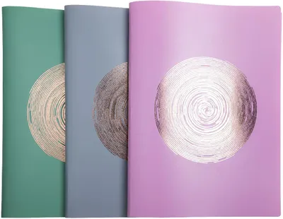 Produktbild von Exacompta Sichtmappe Ellipse A4 20 Hüllen sortiert 20 Stück