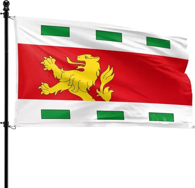 Imagen del producto de Bandera del municipio de Barendrecht, 90 x 150 cm, de poliéster, para asta de bandera